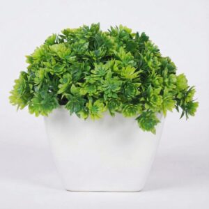Dekorly Artificial Mini Bonsai Plant with Pot